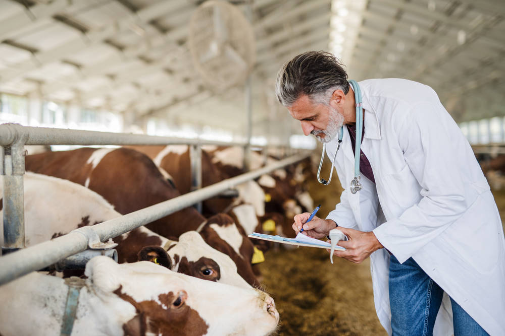 Can Veterinarians Take Payments?
