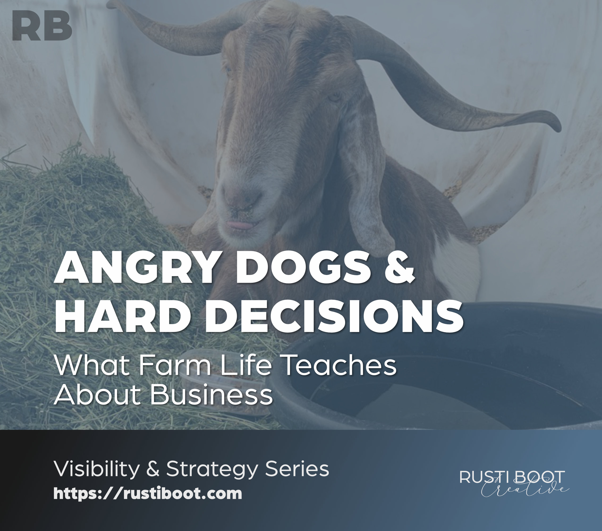 Angry Dogs, Shifting Horses, and a Hard Decision